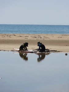 ingredients for a magic day