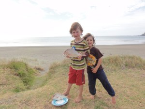 top of the coromandel 2013 075